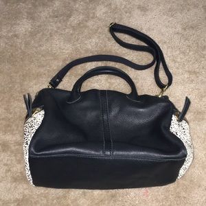 Fossil Bag